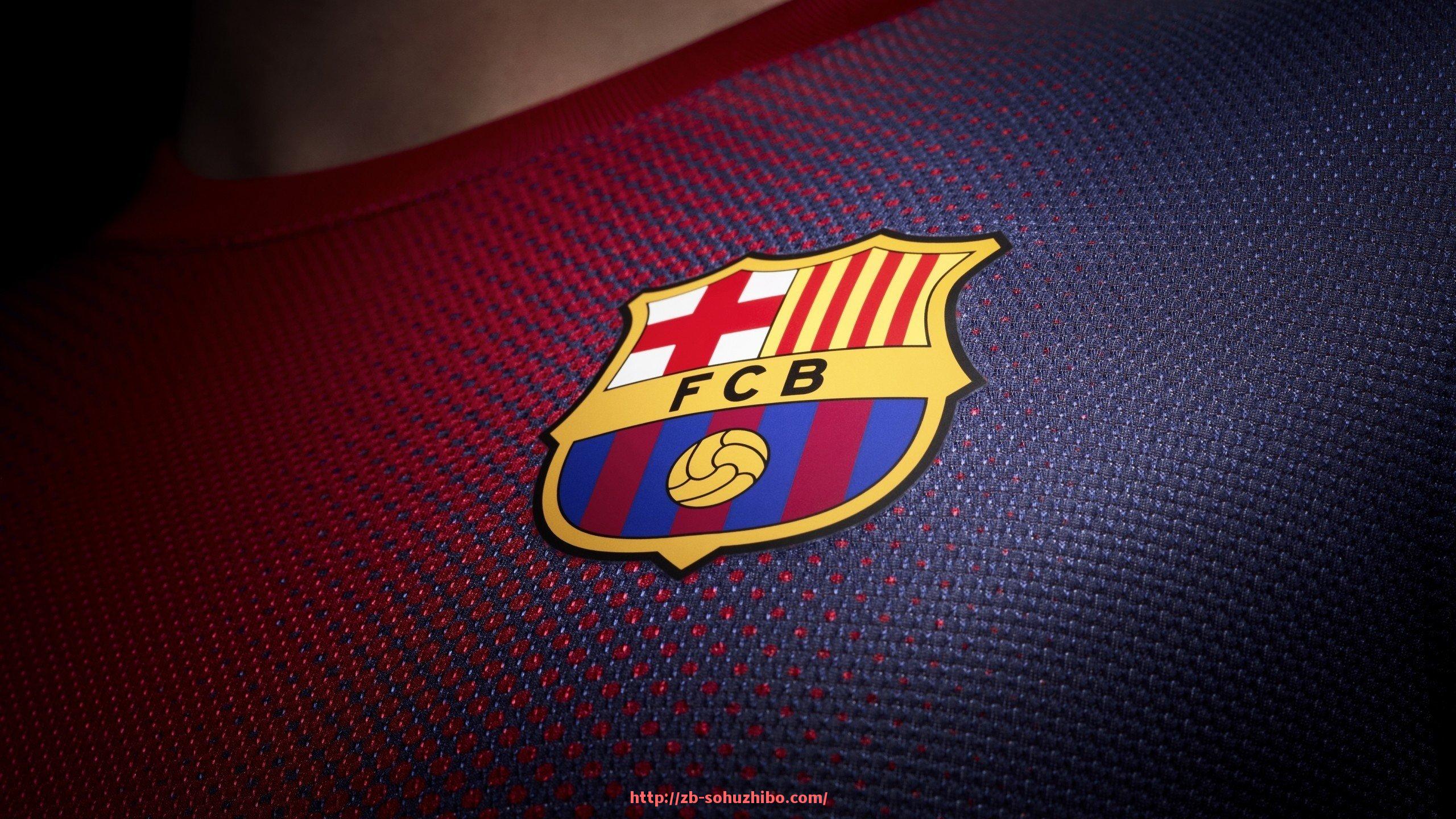 搜狐体育直播-疫情防控视角下的世俱杯主办城市应急与防疫能力评估模型