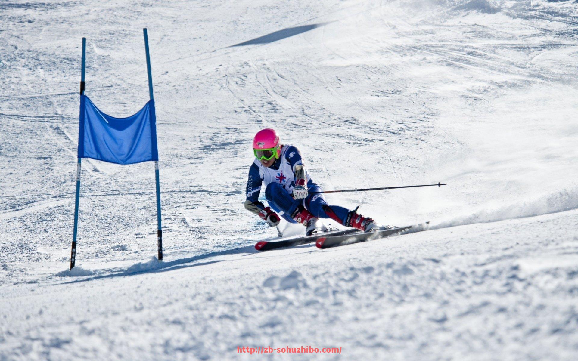 搜狐体育直播-体育头条聚焦赛事：2025年世俱杯成为全球关注热点