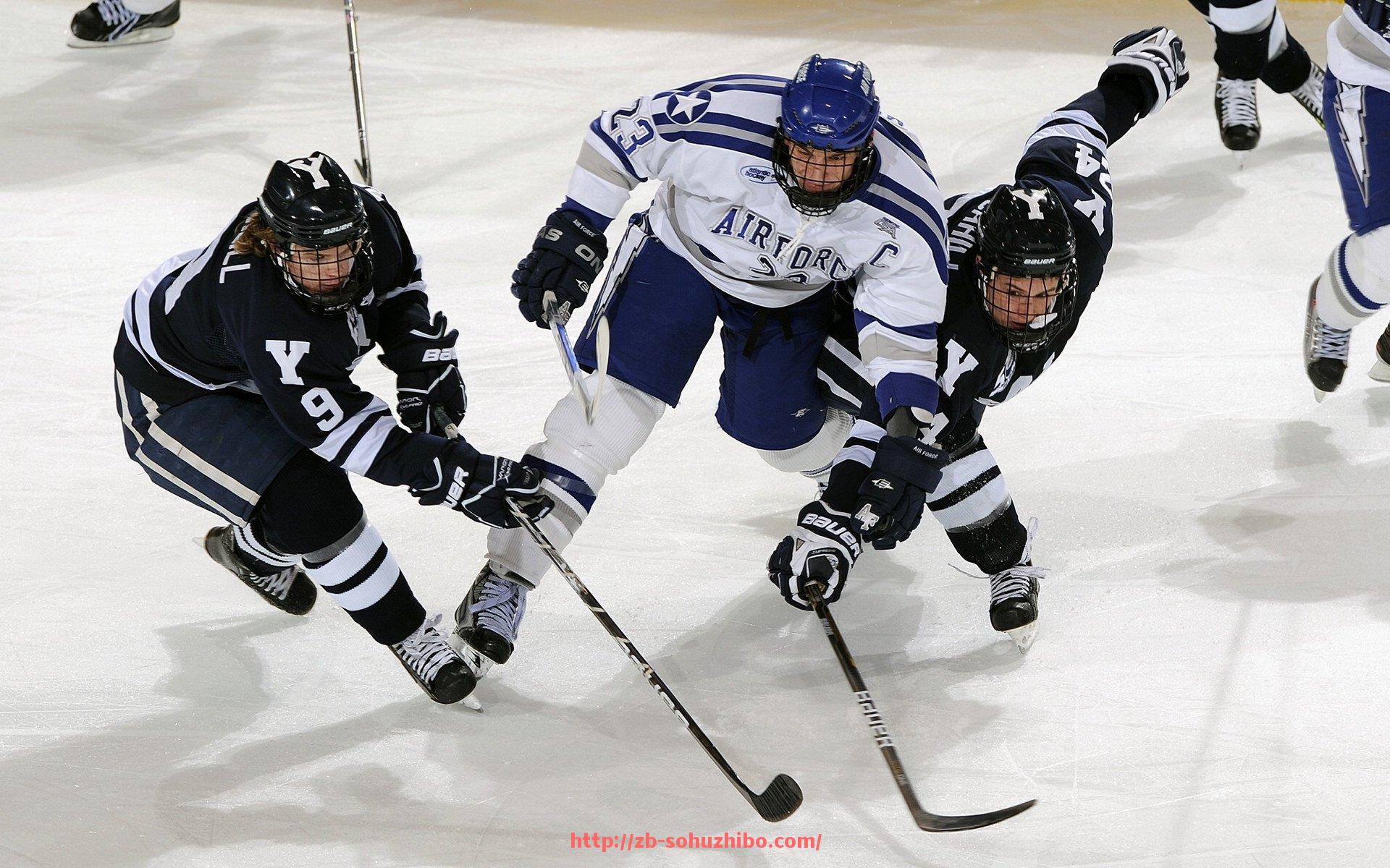 搜狐体育直播-包含冬泳协会分会的管理制度主要包含哪些内容,如何保证运营规范?的词条